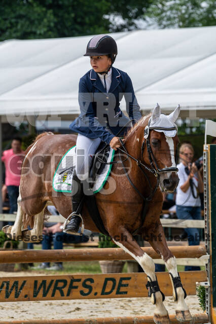 Goldene Schärpe 2021 - Ponys