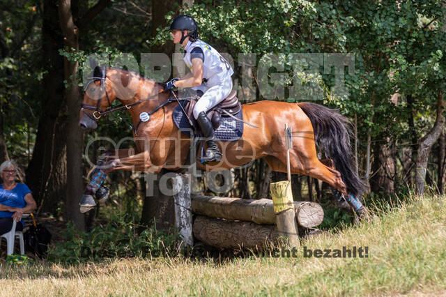 Late-Entry Vielseitigkeit Hamminkeln/Wesel (01.+02.08.2020)
