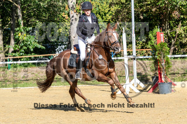 RFV Dinslaken-Hiesfeld (Herbstturnier)