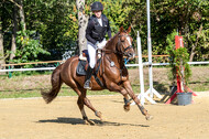 RFV Dinslaken-Hiesfeld (Herbstturnier)