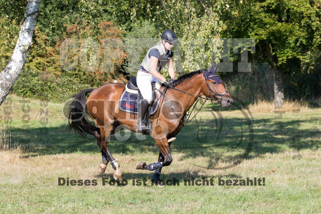 Vielseitigkeitsturnier RSV St. Hubertus Wesel Obrighoven