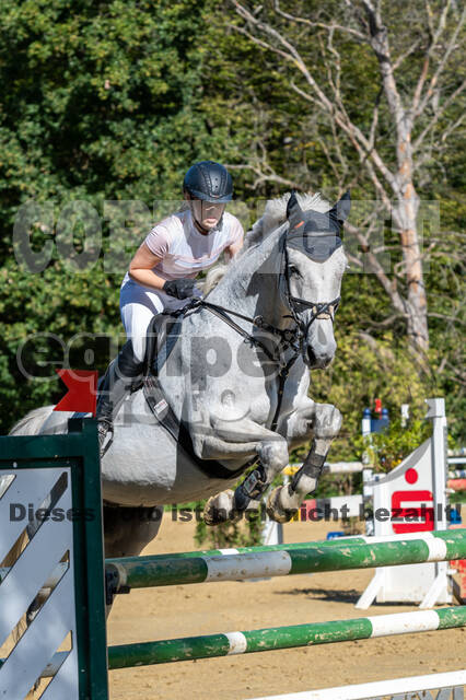 RFV Dinslaken-Hiesfeld (Herbstturnier)