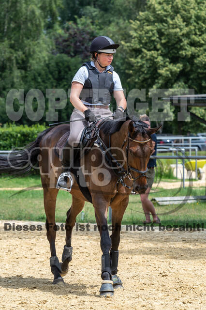 Hunter Geländetraining 10.07.2021 (Sonsbeck)
