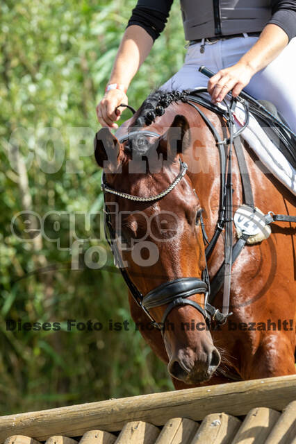 Late-Entry Vielseitigkeit Hamminkeln/Wesel (01.+02.08.2020)