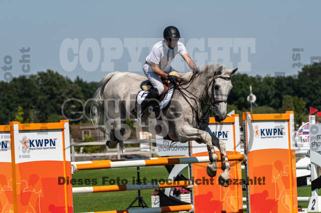 Kronenberg - De Peelbergen (August 2020)