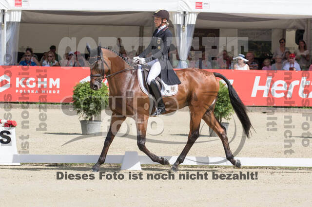 FEI European Championship Eventing 2017