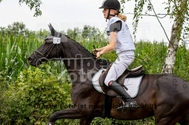 Late-Entry-Vielseitigkeit Gahlen (18.07.2020)