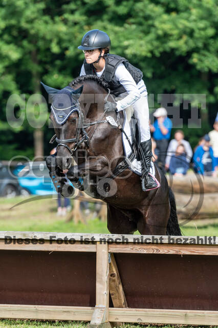 Goldene Schärpe 2021 - Ponys