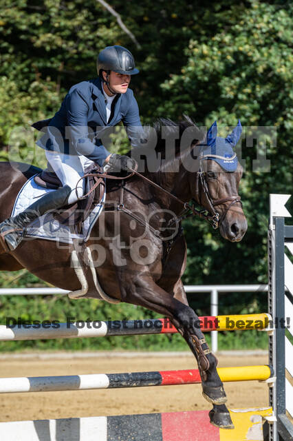 RFV Dinslaken-Hiesfeld (Herbstturnier)