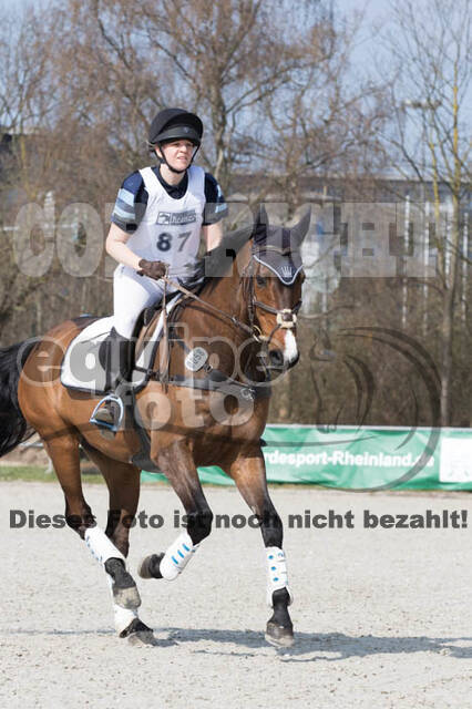 Eventing Langenfeld 2018