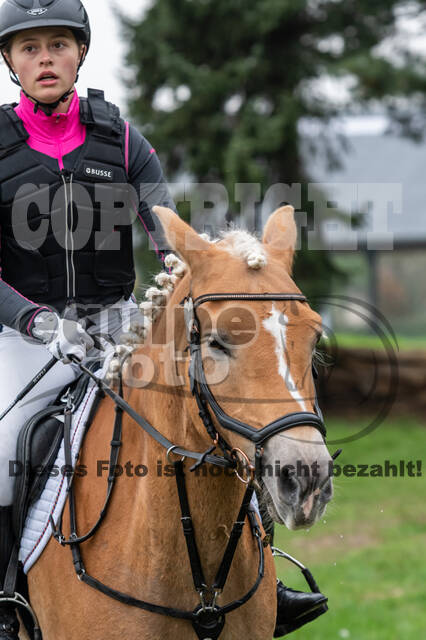 Goldene Schärpe 2020 - Pferde