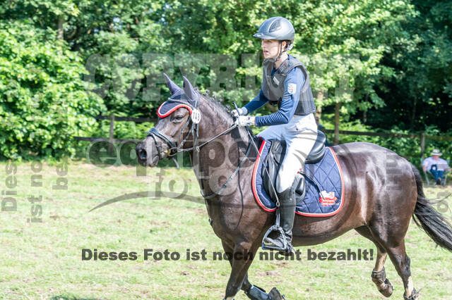 Goldene Schärpe 2021 - Ponys