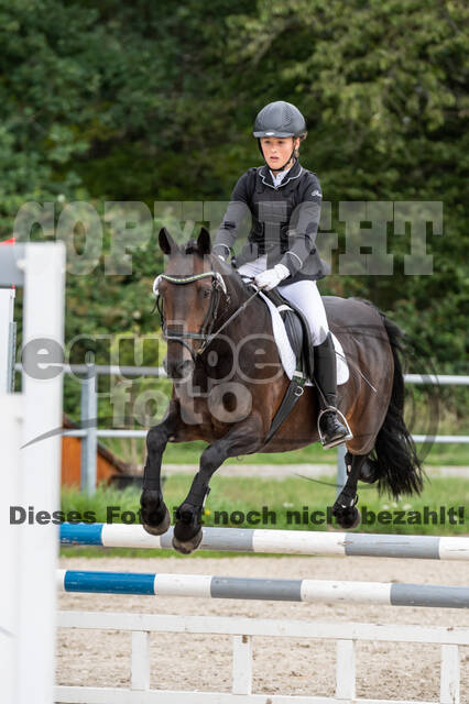 Late-Entry-Vielseitigkeit Langenfeld (06.+07.07.2020)