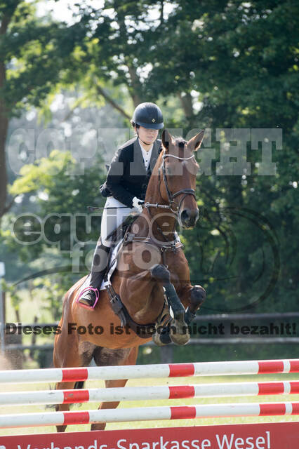 Vielseitigkeitsturnier ZRuFV von Lützow Hamminkeln