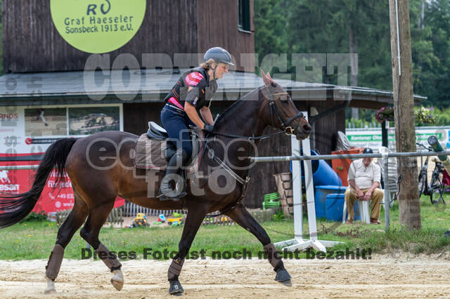 Hunter Geländetraining 10.07.2021 (Sonsbeck)