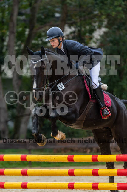 Vielseitigkeit RSV Wesel Obrighoven (26.+27.09.2020)