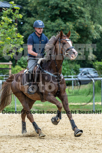 Hunter Geländetraining 10.07.2021 (Sonsbeck)