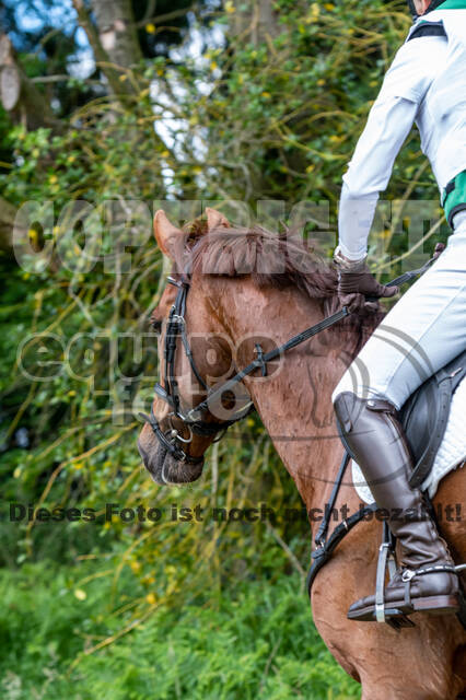 Westerstede Horse Trials 2021