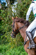Westerstede Horse Trials 2021