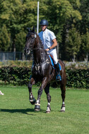 Kronenberg - De Peelbergen (August 2020)