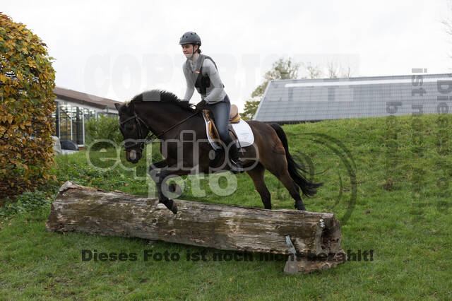 IGV Lehrgang der Sieger der Cups mit Frank Ostholt