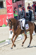FEI European Championship Eventing 2017