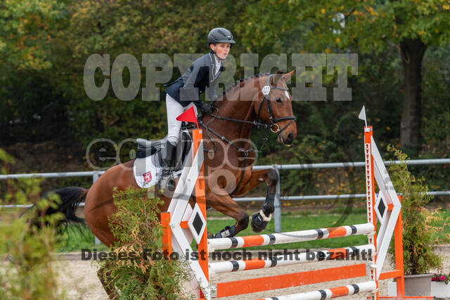 Goldene Schärpe 2020 - Pferde