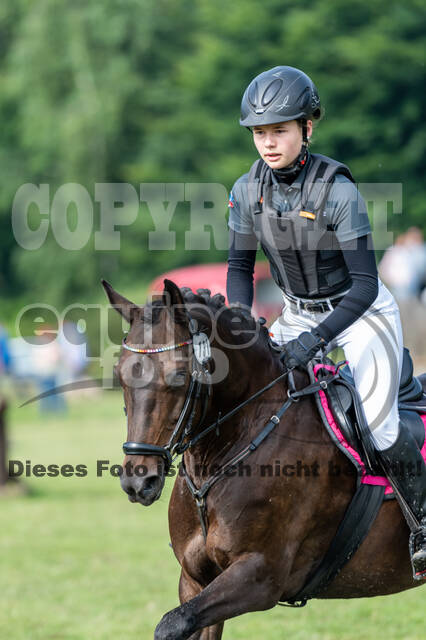 Goldene Schärpe 2021 - Ponys