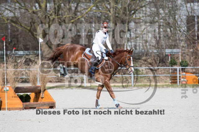 Eventing Langenfeld 2018