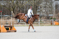 Eventing Langenfeld 2018