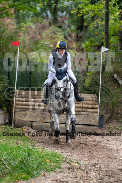 Goldene Schärpe 2020 - Pferde