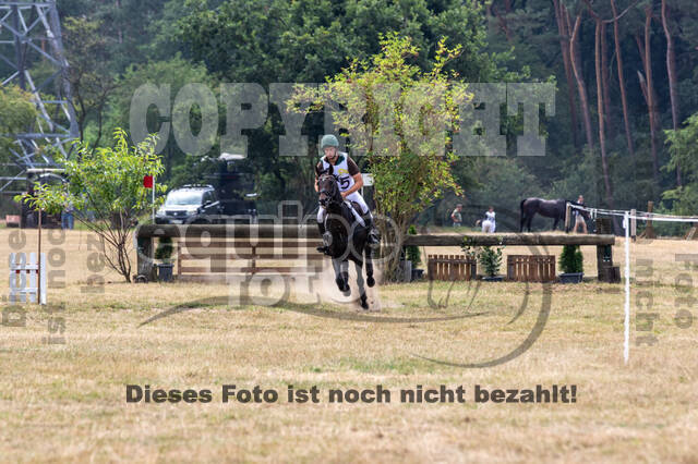 Late-Entry Vielseitigkeit Hamminkeln/Wesel (01.+02.08.2020)