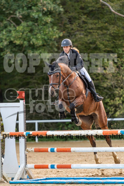 RFV Dinslaken-Hiesfeld (Herbstturnier)