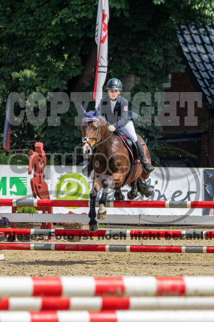 Goldene Schärpe 2021 - Ponys
