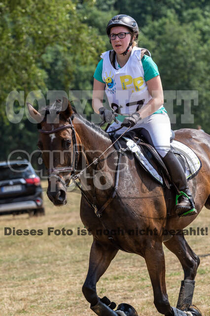 Late-Entry Vielseitigkeit Hamminkeln/Wesel (01.+02.08.2020)