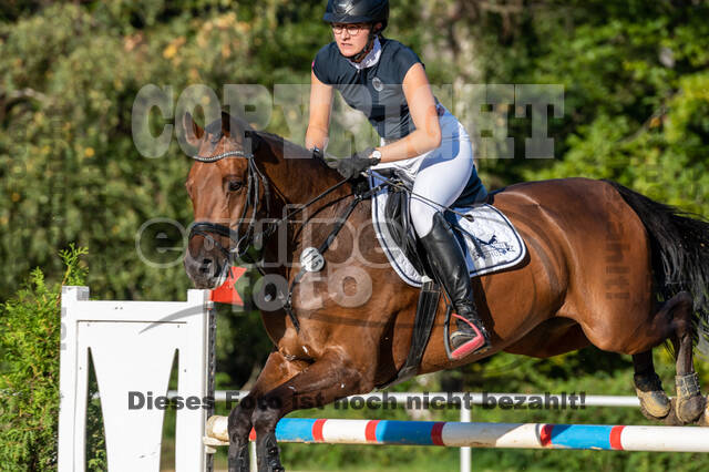 RFV Dinslaken-Hiesfeld (Herbstturnier)