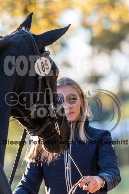 Deutsche Meisterschaft Vielseitigkeit (Luhmühlen)