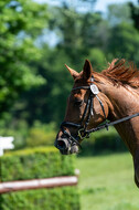 Westerstede Horse Trials 2021