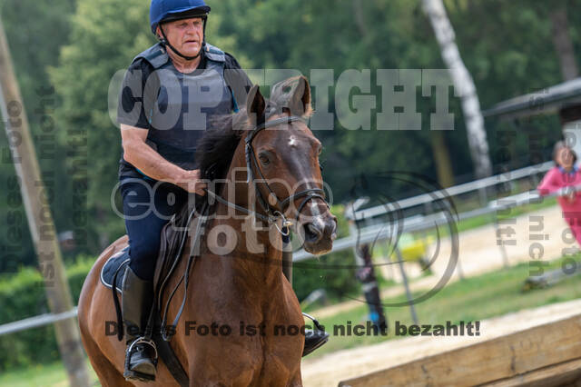 Hunter Geländetraining 10.07.2021 (Sonsbeck)