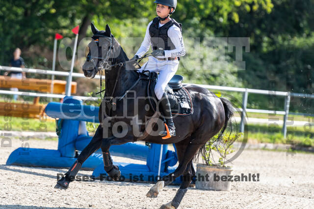 Late-Entry-Vielseitigkeit Langenfeld (11.+13./14.06.2020)