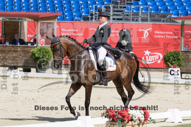 FEI European Championship Eventing 2017