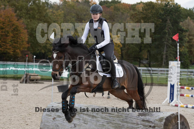 IGV Lehrgang der Sieger der Cups mit Frank Ostholt