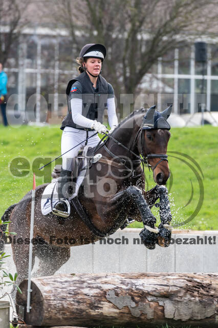 Goldene Schärpe 2020 - Pferde