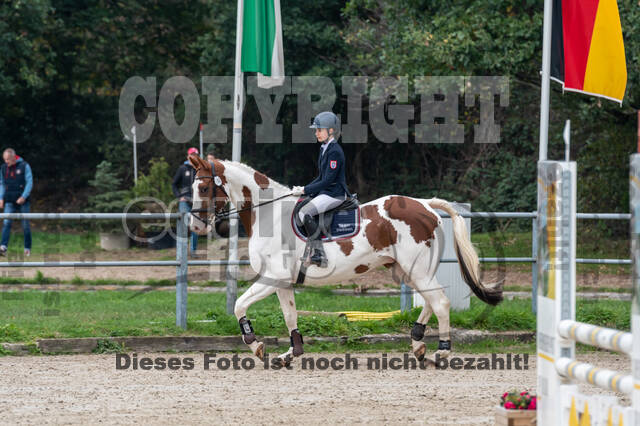 Goldene Schärpe 2020 - Pferde