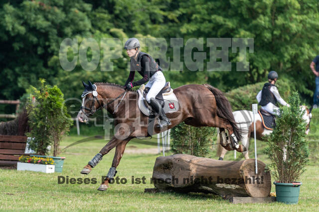 Goldene Schärpe 2021 - Ponys