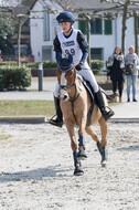 Eventing Langenfeld 2018