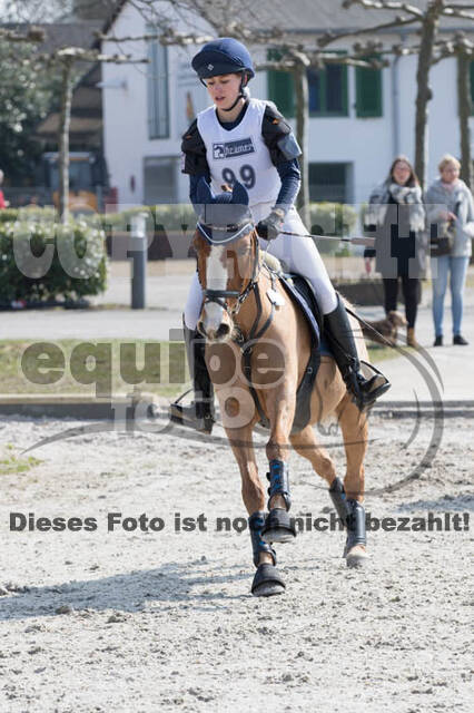 Eventing Langenfeld 2018
