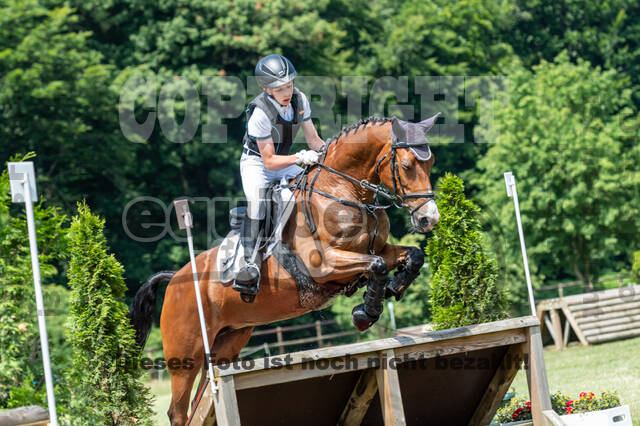 Goldene Schärpe 2021 - Ponys