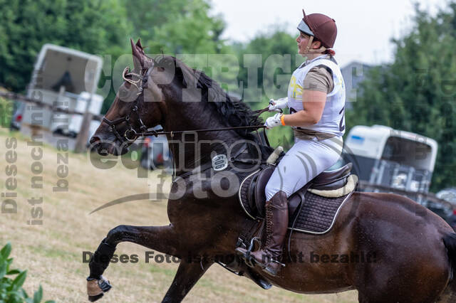 Late-Entry Vielseitigkeit Hamminkeln/Wesel (01.+02.08.2020)