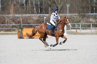 Eventing Langenfeld